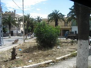 ORAN MAI 2008 2679